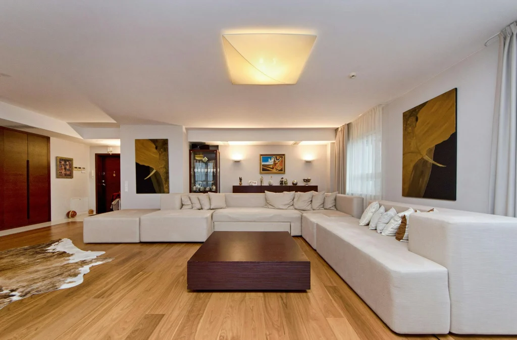modern home design with simple minimalist layout