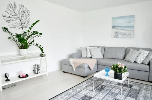 home styling tips for clean and balanced living room