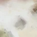 Interior design color palette for a cozy atmosphere