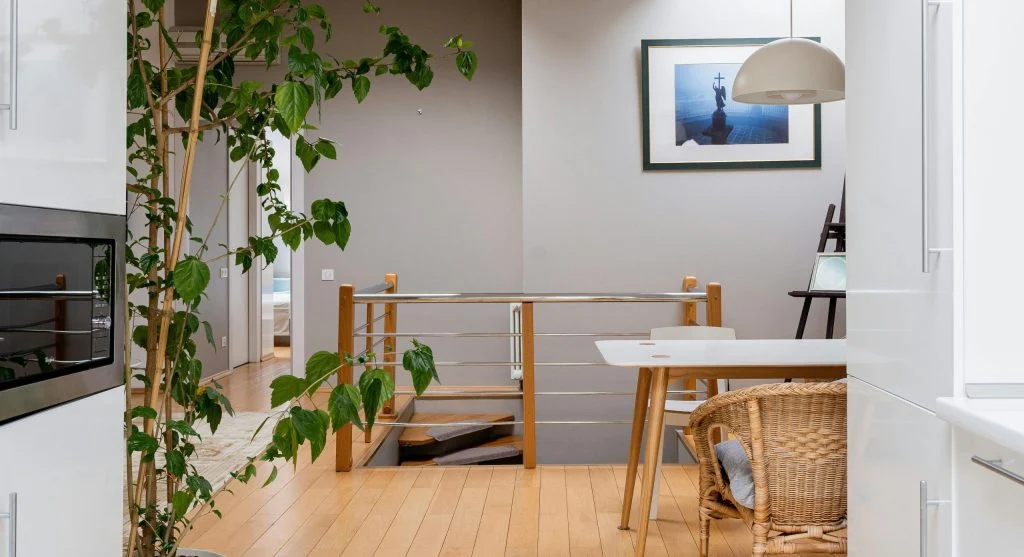 natural light in modern home interior